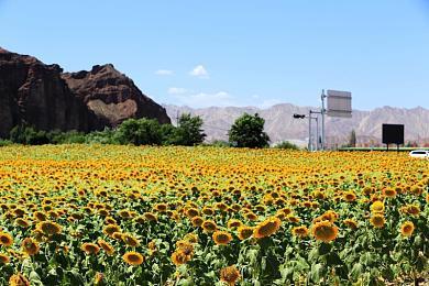《超自然车旅》销量破百万，最大扩展包即将上线