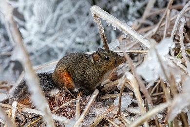 官方确认：《堕落之主》PS5和XSX＆S版支持60帧率运行