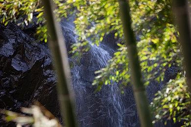 《霍格沃茨之遗》续作或采用虚幻5引擎